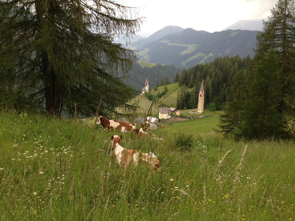 Ciasa Raut Lägenhet La Valle Exteriör bild