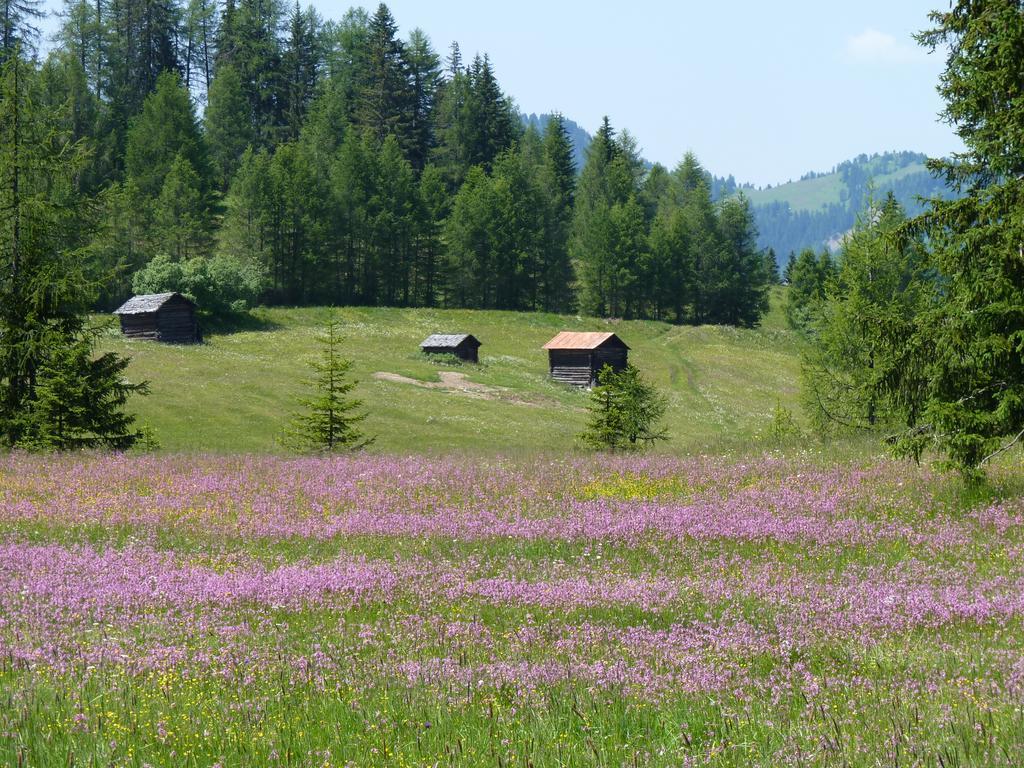 Ciasa Raut Lägenhet La Valle Exteriör bild